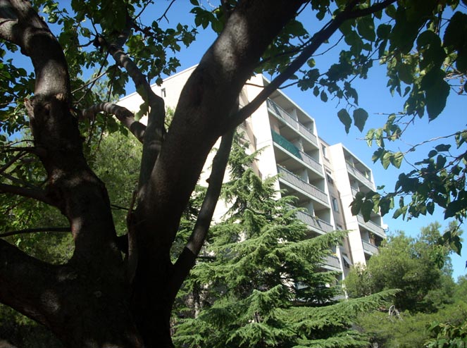 Coronavirus Les Maisons De Quartier De Martigues Se Mobilisent Et Adaptent Leurs Missions Ville De Martigues