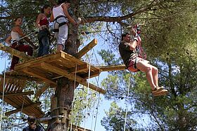 Dans les branches