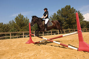 Le saut d'obstacles
