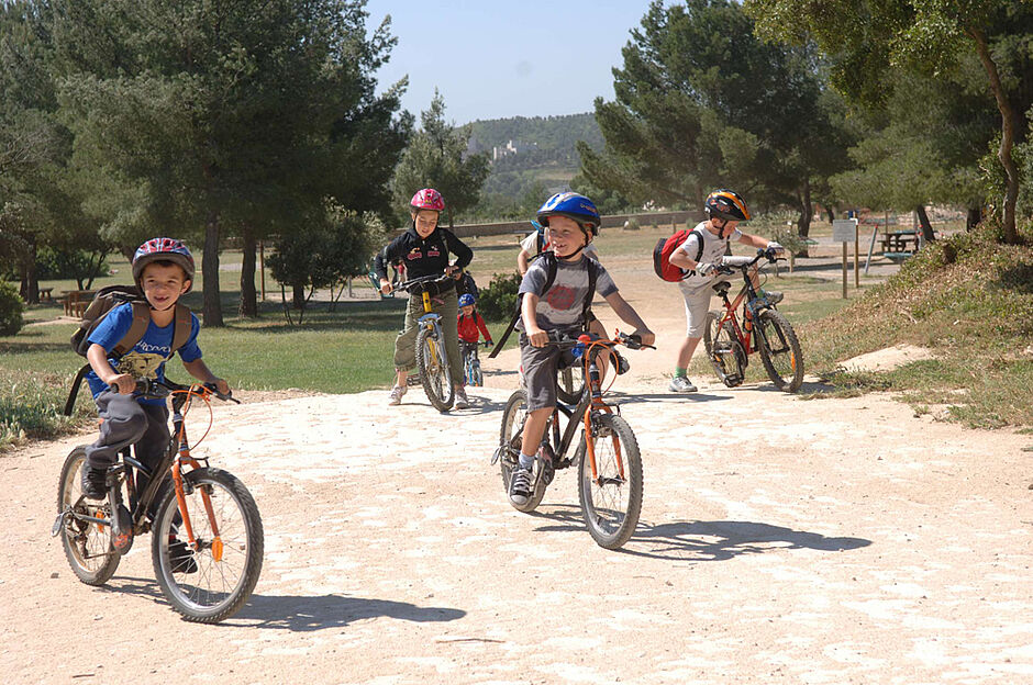 Venez conquérir les circuits de bosses et vous entrainer à affronter les sentiers les plus rudes du parc.